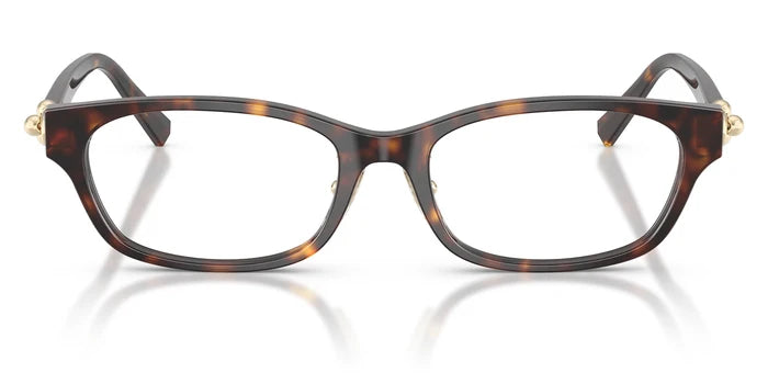 Tiffany TF2291-Tortoise