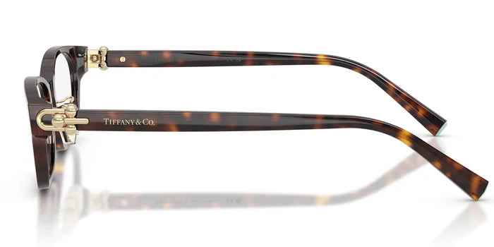 Tiffany TF2291-Tortoise