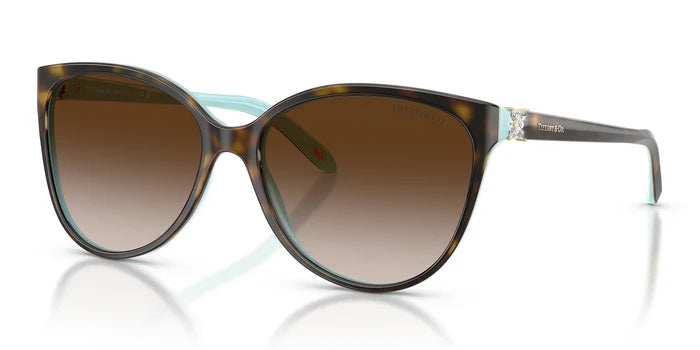 Tiffany TF4089-Tortoise / Brown Gradient