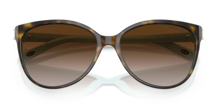 Tiffany TF4089-Tortoise / Brown Gradient