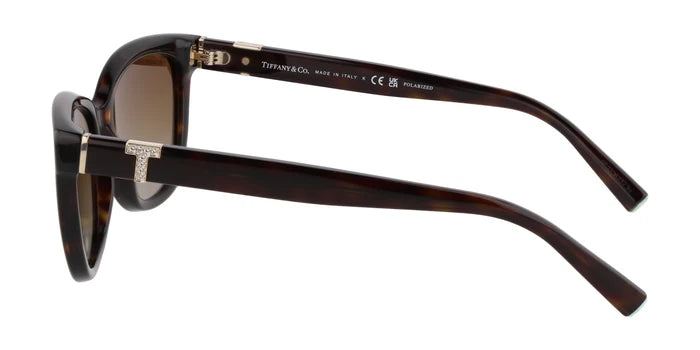Tiffany TF4237-Tortoise / Brown Gradient