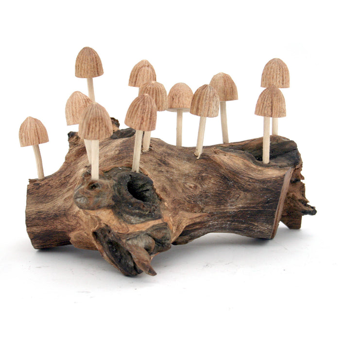 Modern Eastern by Contrast Inc. Decor Twelve Bud Mushrooms on Driftwood