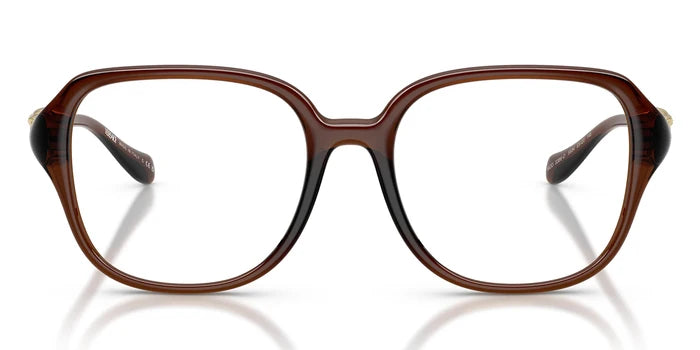 Brown / L