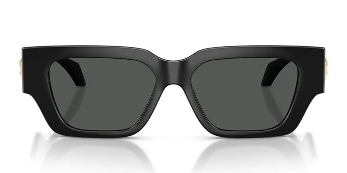 Versace VE4497-Black With Grey Lenses