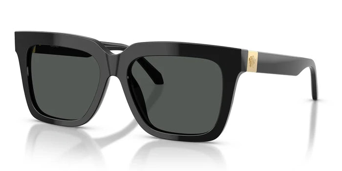 Versace VE4498-Black With Grey Lenses