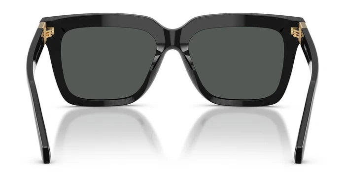 Versace VE4498-Black With Grey Lenses
