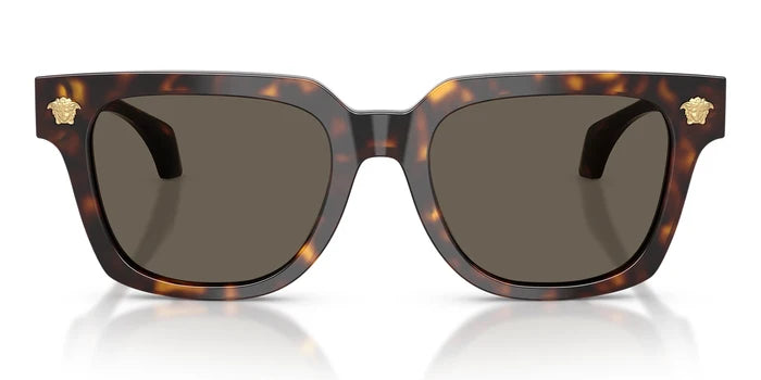 Tortoise With Brown Lenses / L