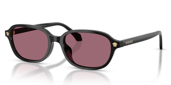 Versace VE4514-Black / Violet