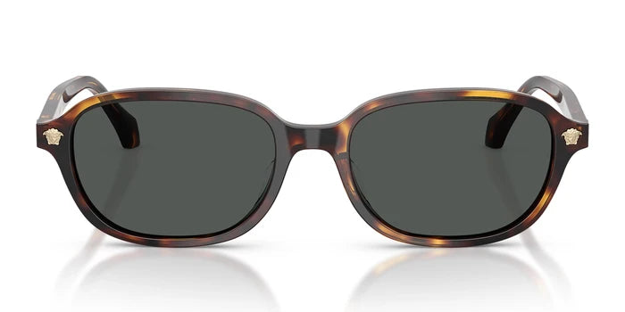 Tortoise With Brown Lenses / M