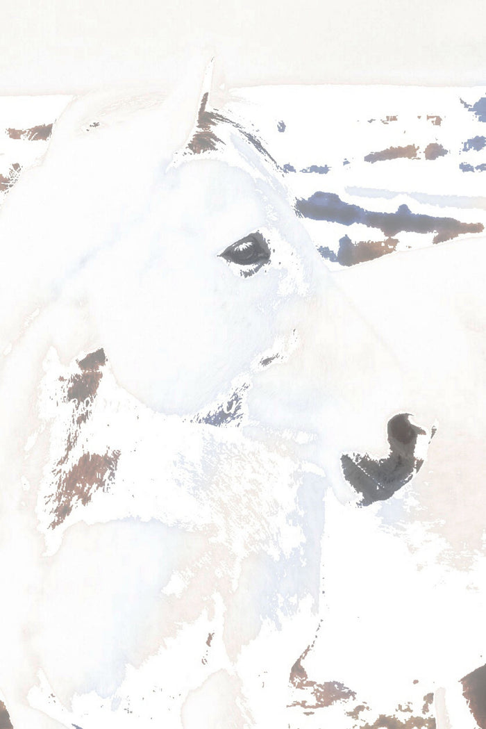 White Desert Ghost Canvas Print