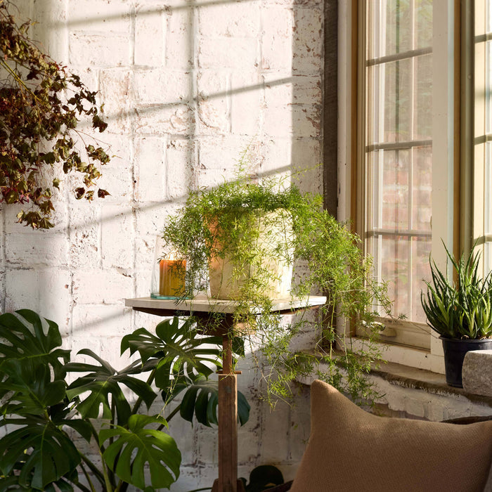 Bloomist SHOP White Patina Planters