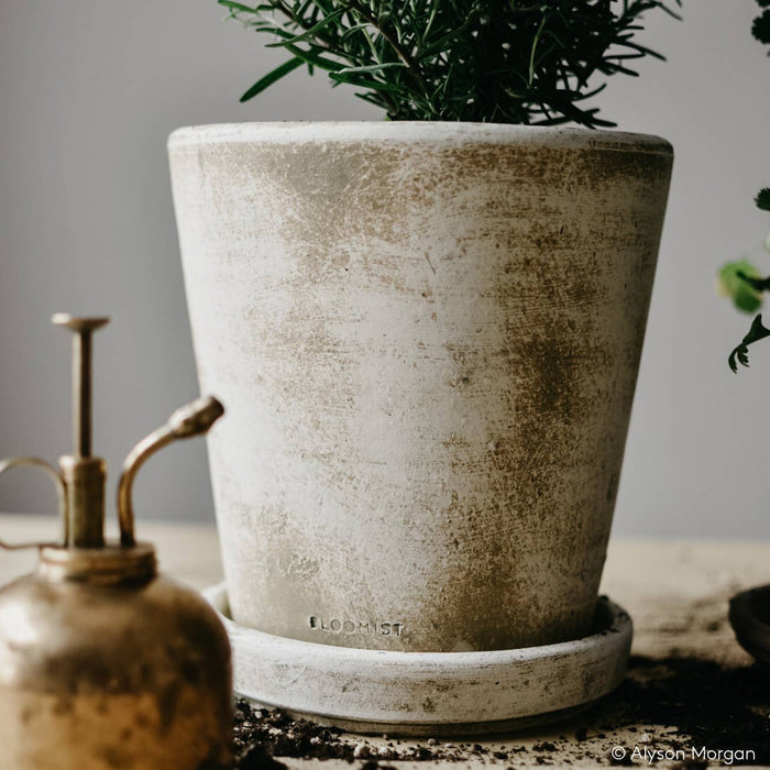 Bloomist SHOP XXX-Large White Patina Planters