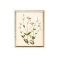 Pink Lemon Decor 8x10in Pink Lemon Decor - Wildflower Vintage Art