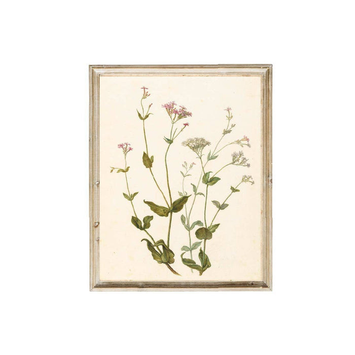 Pink Lemon Decor 8x10in Pink Lemon Decor - Wildflower Vintage Art