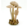 Modern Eastern by Contrast Inc. Decor Medium Wood Mushroom Sculpture, Round Top