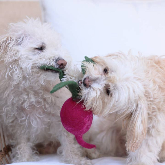 MODERNBEAST Pet Wool Turnip Dog Toy