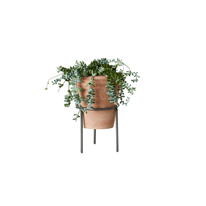 Bloomist SHOP Wrought Iron Planter Stand