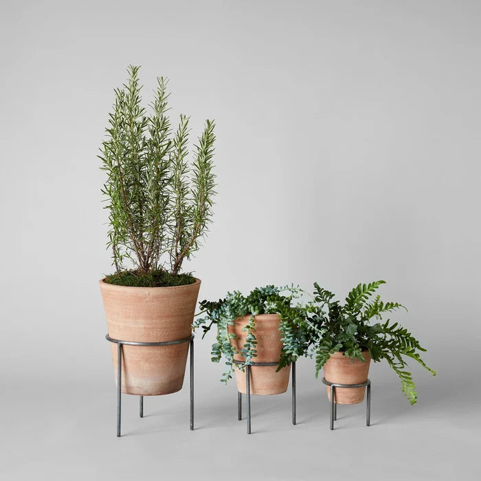 Bloomist SHOP Wrought Iron Planter Stand