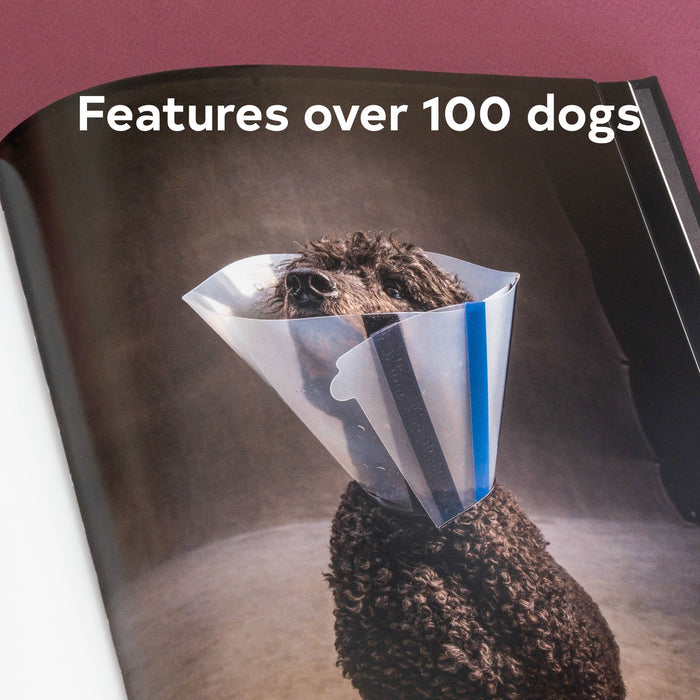 Chronicle Books Book Year of the Dogs