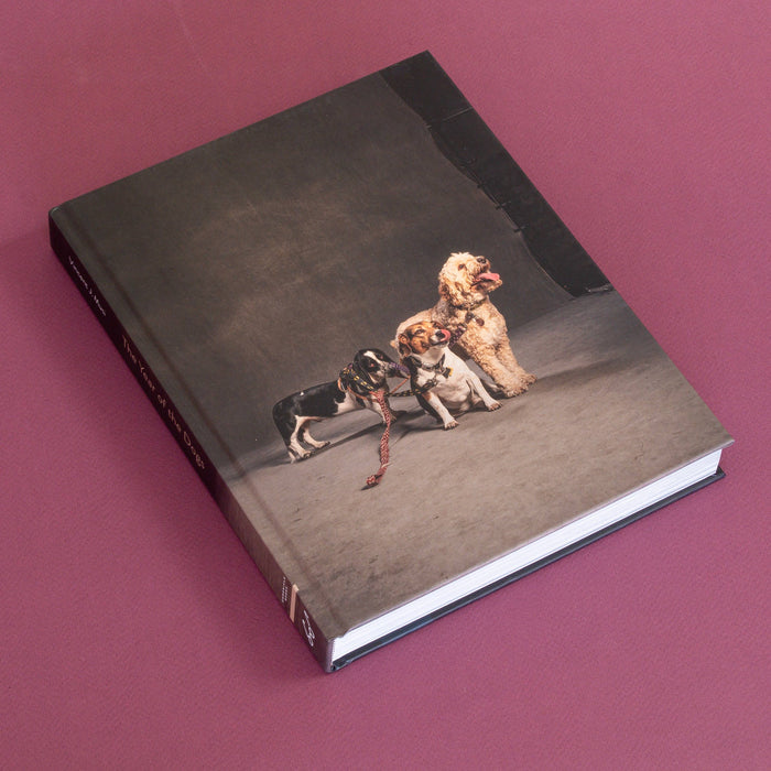 Chronicle Books Book Year of the Dogs