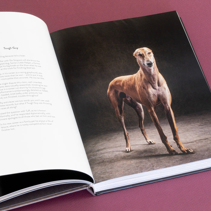 Chronicle Books Book Year of the Dogs